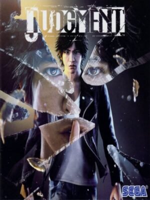 JUDGMENT