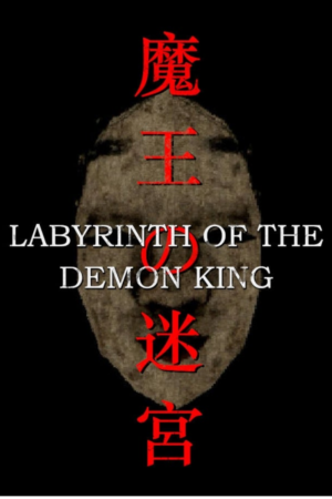 LABYRINTH OF THE DEMON KING