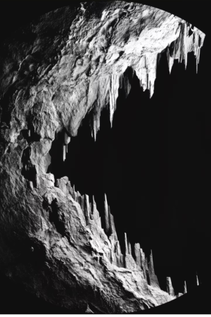 CAVE CRAVE
